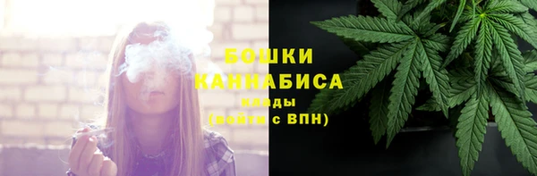 круглые Вяземский