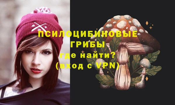 круглые Вяземский