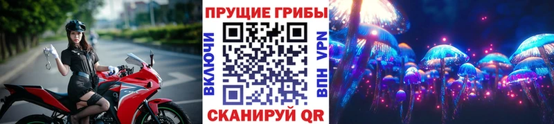 как найти закладки  Пушкино  Псилоцибиновые грибы MAGIC MUSHROOMS 